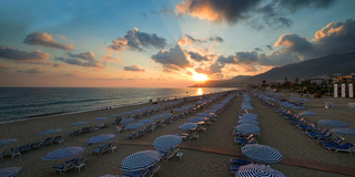 Villa Sun Flower Hotel fotoÄŸrafÄ±