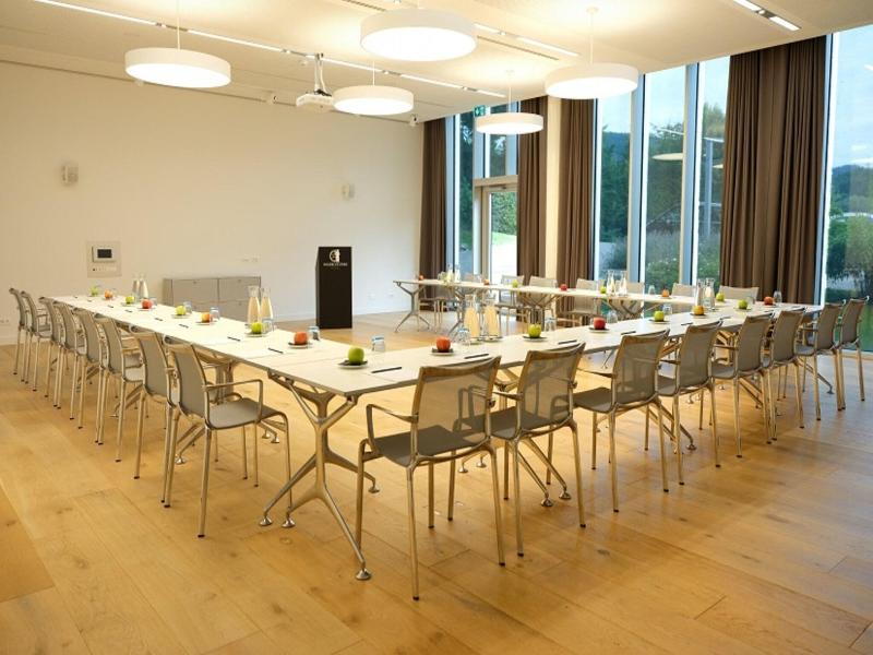 Modern Times Hotel Vevey - Toplantı