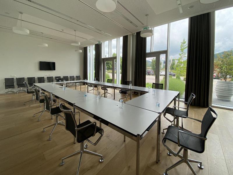 Modern Times Hotel Vevey - Toplantı