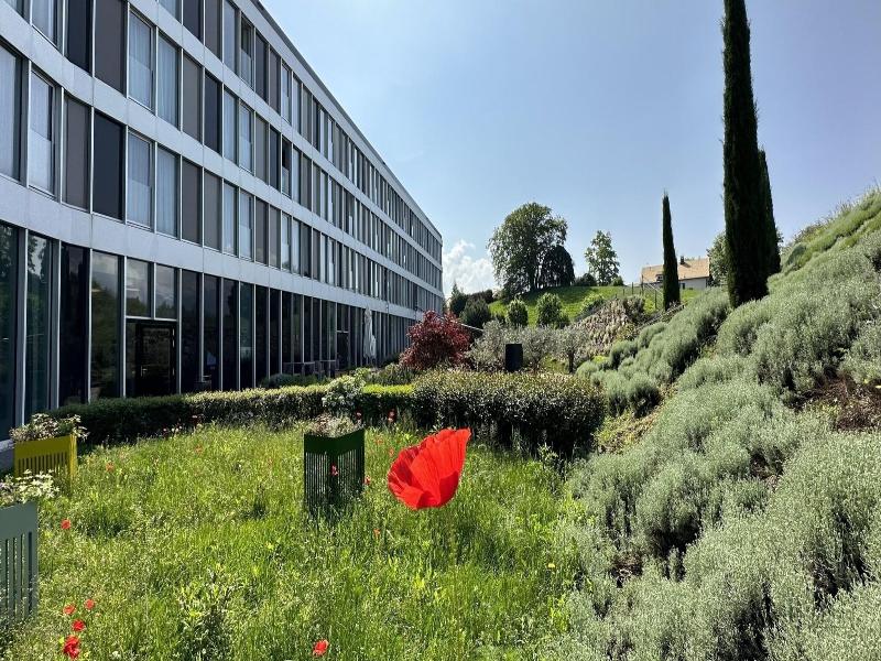 Modern Times Hotel Vevey - Genel