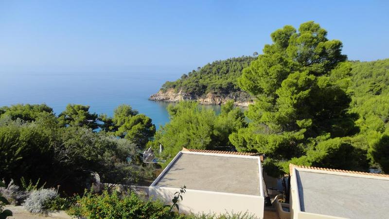 Alonissos Beach Bungalows & Suites Hotel - Genel