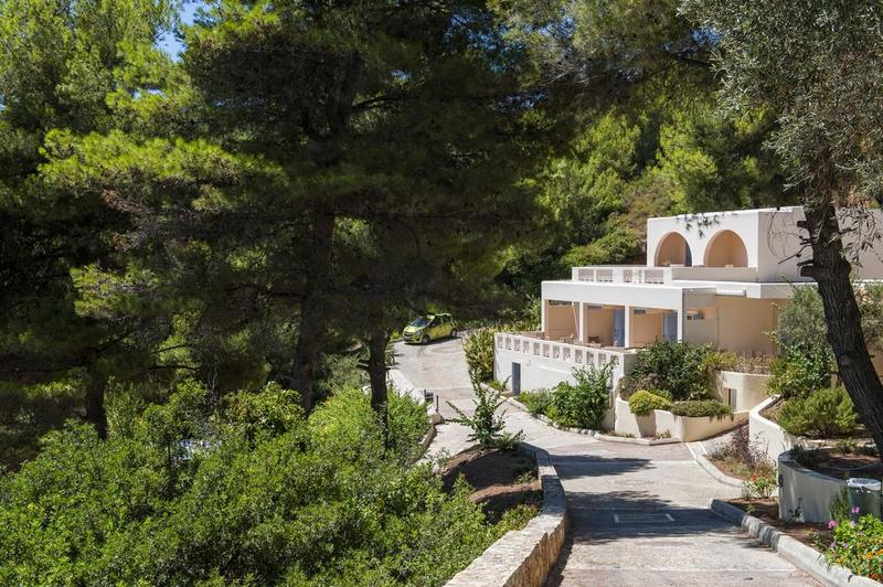 Alonissos Beach Bungalows & Suites Hotel - Genel