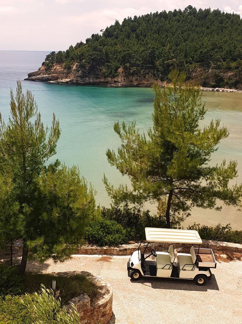 Alonissos Beach Bungalows & Suites Hotel - Genel