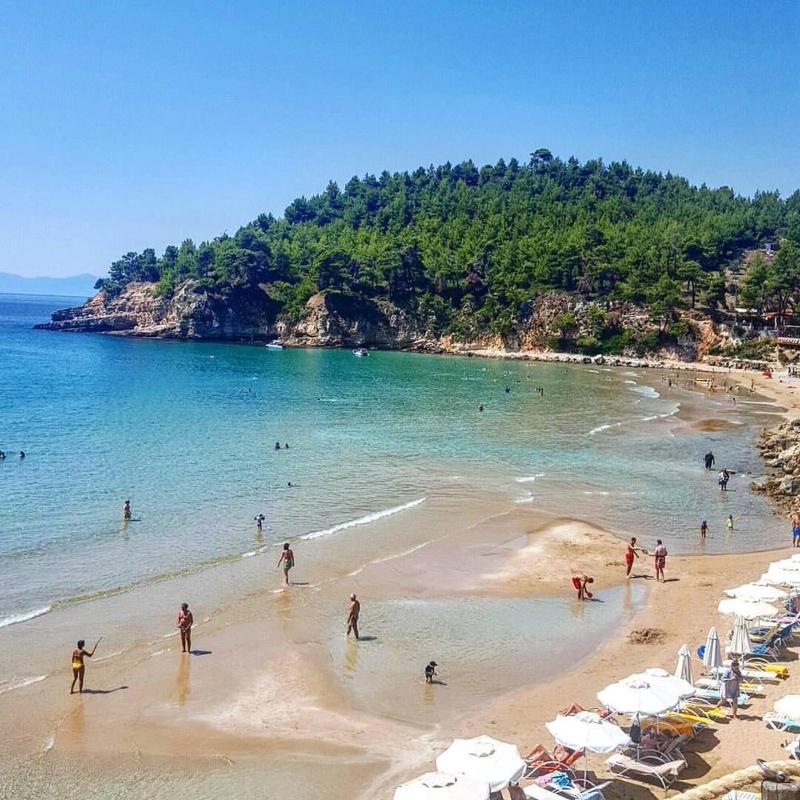 Alonissos Beach Bungalows & Suites Hotel - Genel