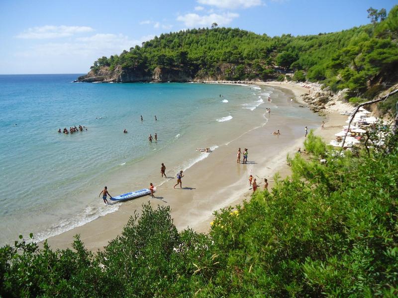 Alonissos Beach Bungalows & Suites Hotel - Genel