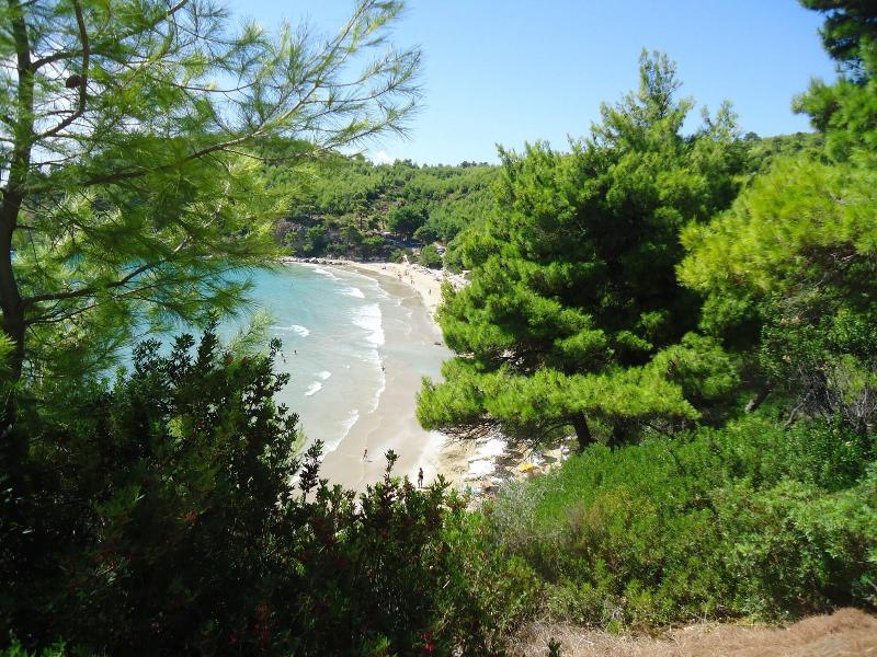 Alonissos Beach Bungalows & Suites Hotel - Genel