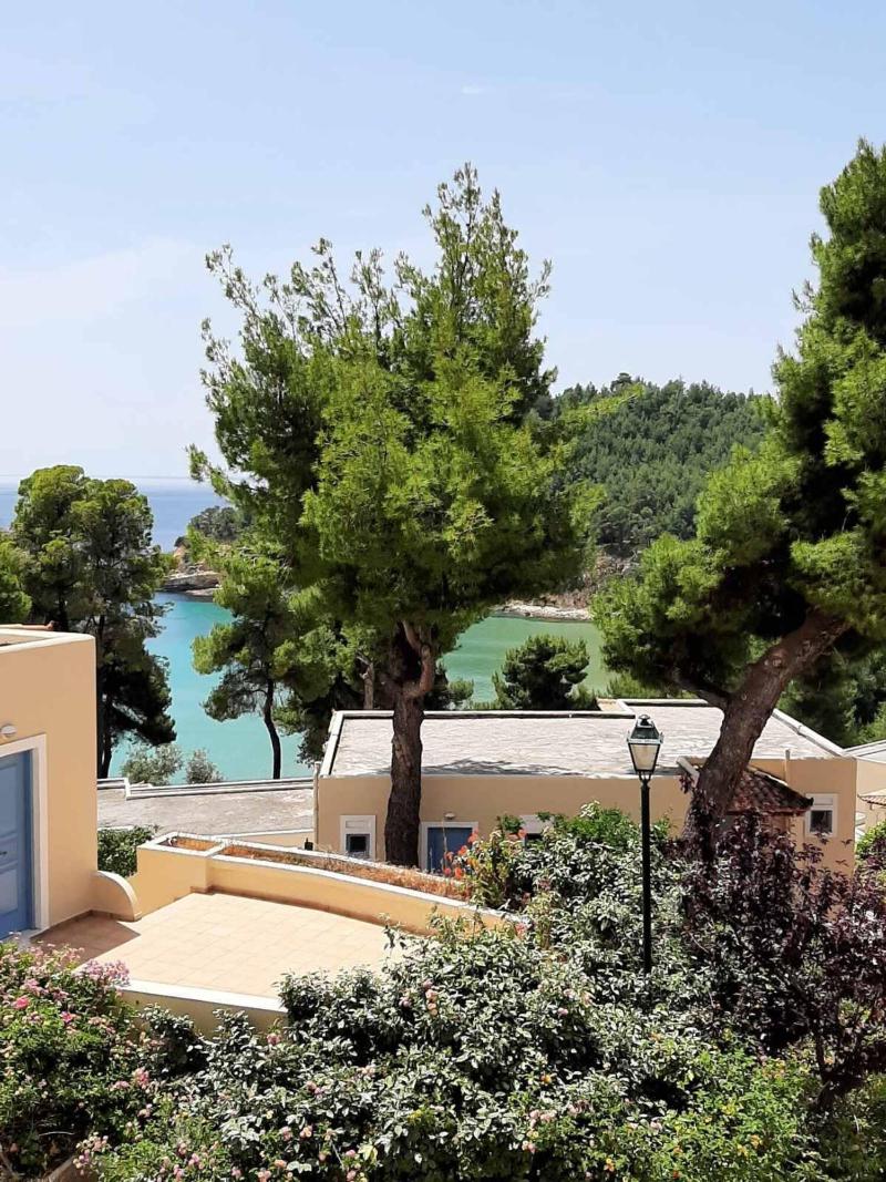 Alonissos Beach Bungalows & Suites Hotel - Genel