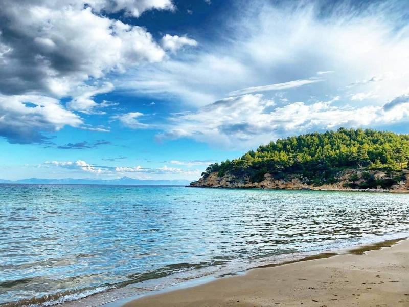 Alonissos Beach Bungalows & Suites Hotel - Plaj