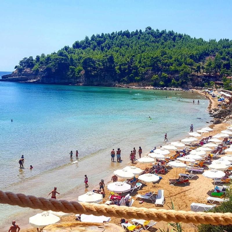 Alonissos Beach Bungalows & Suites Hotel - Plaj