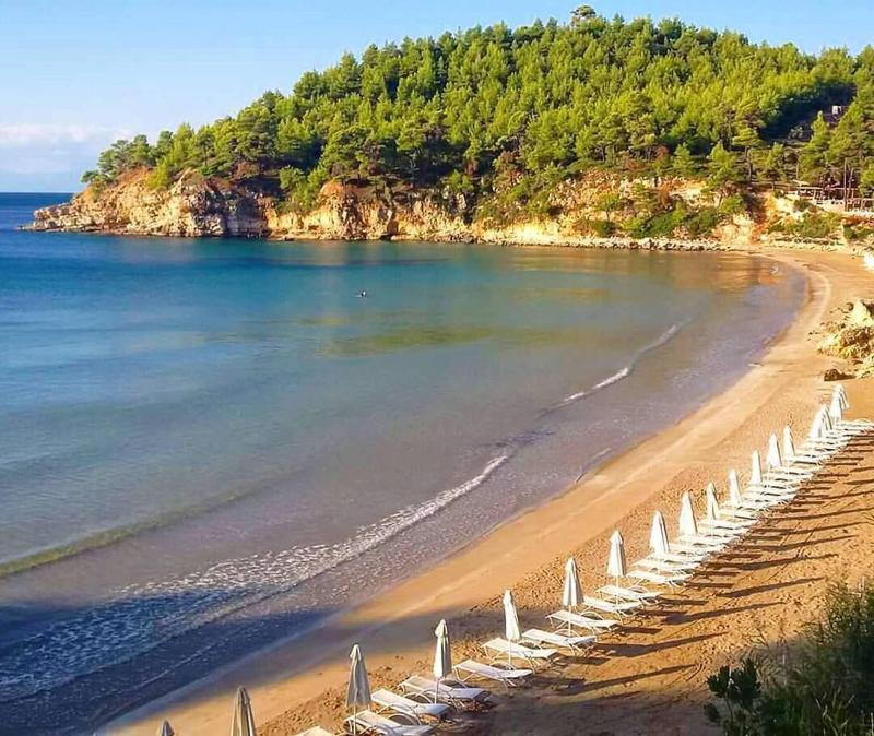 Alonissos Beach Bungalows & Suites Hotel - Plaj