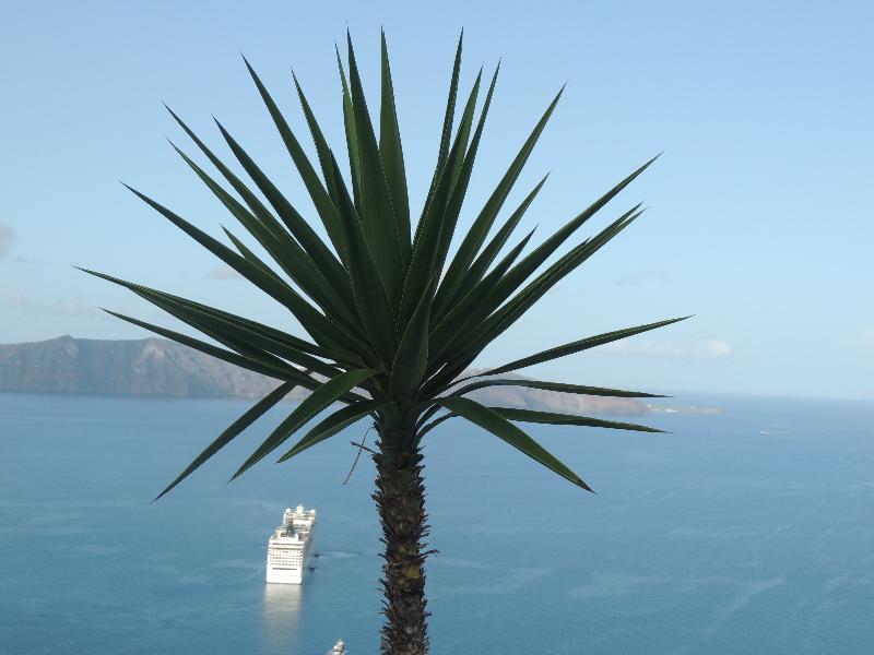 Trieris Villas & Suites - Oda