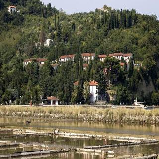 Salinera Apartments otel fotoğrafı