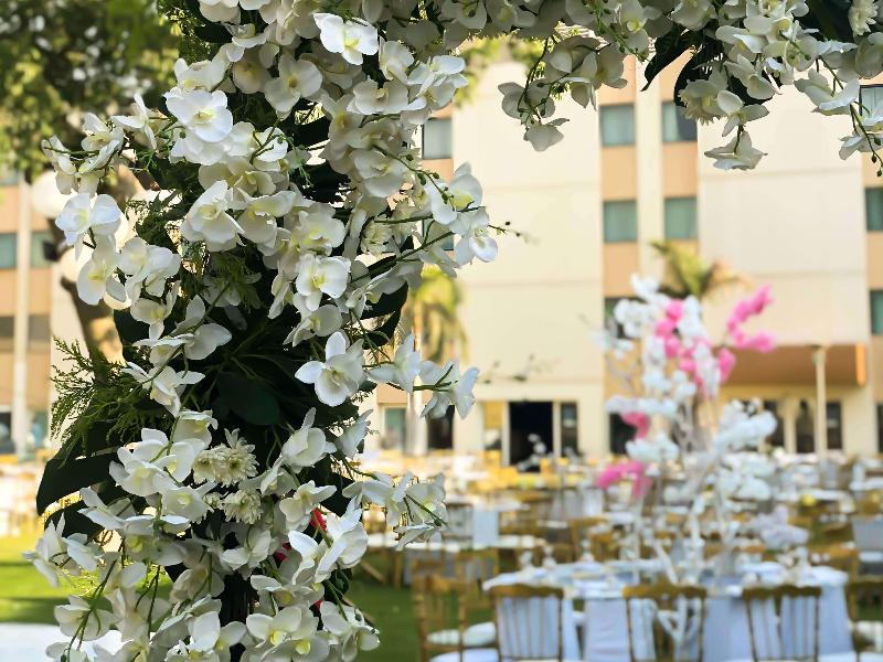 Novotel Cairo Airport - Genel