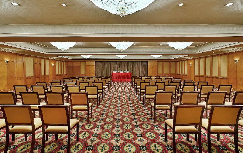 Sofitel Cairo Downtown Nile - Toplantı
