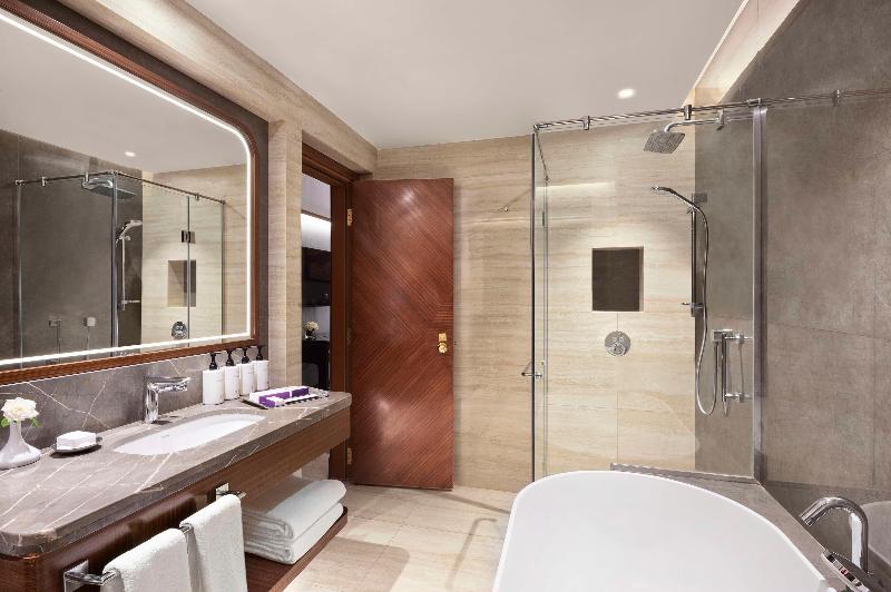 Sofitel Cairo Downtown Nile - Oda