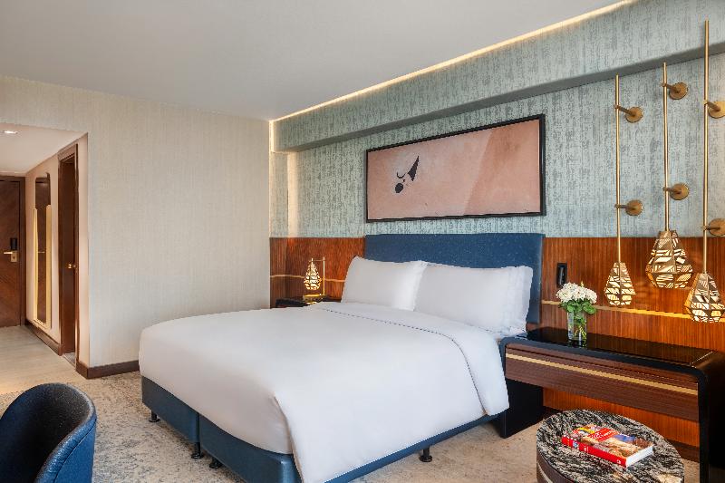 Sofitel Cairo Downtown Nile - Oda