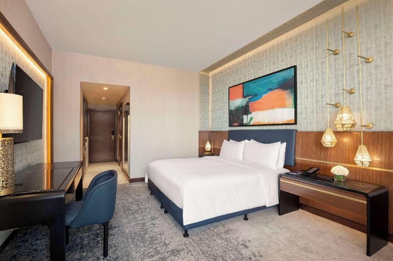 Sofitel Cairo Downtown Nile - Oda