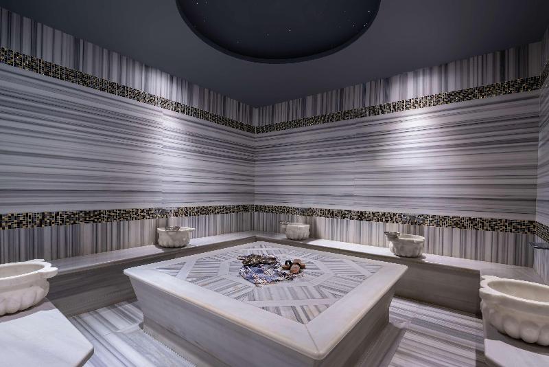 Doubletree By Hilton Istanbul Gayrettepe - Genel