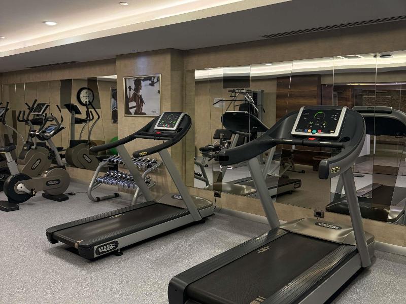 Mercure Tbilisi Old Town - Aktivite