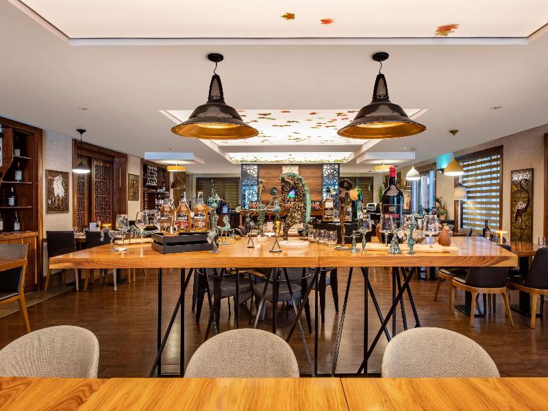 Mercure Tbilisi Old Town - Genel