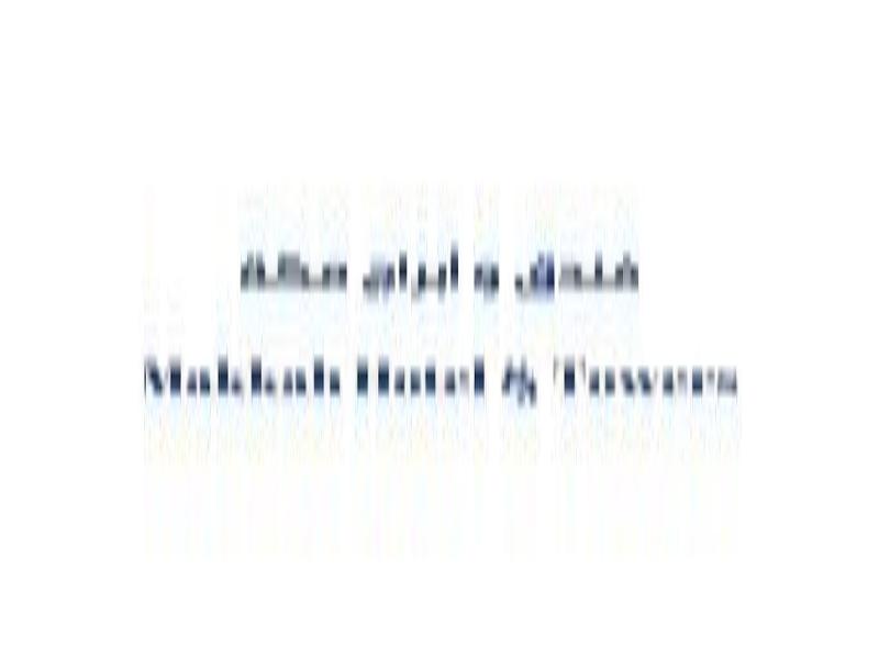 Makkah Towers - Genel