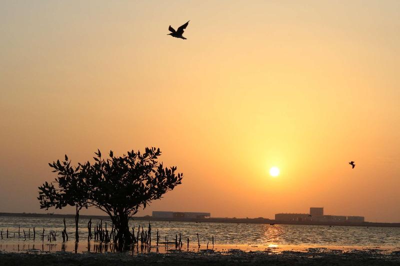 Radisson Blu Yanbu - Plaj