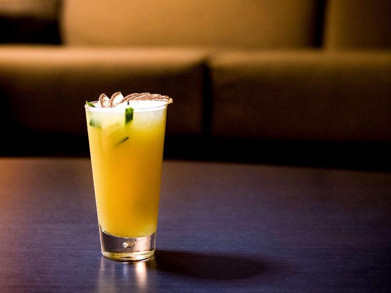 Radisson Bly CDG Airport Havaalanı - Bar