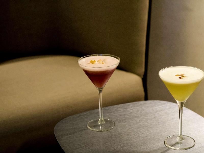Radisson Bly CDG Airport Havaalanı - Bar