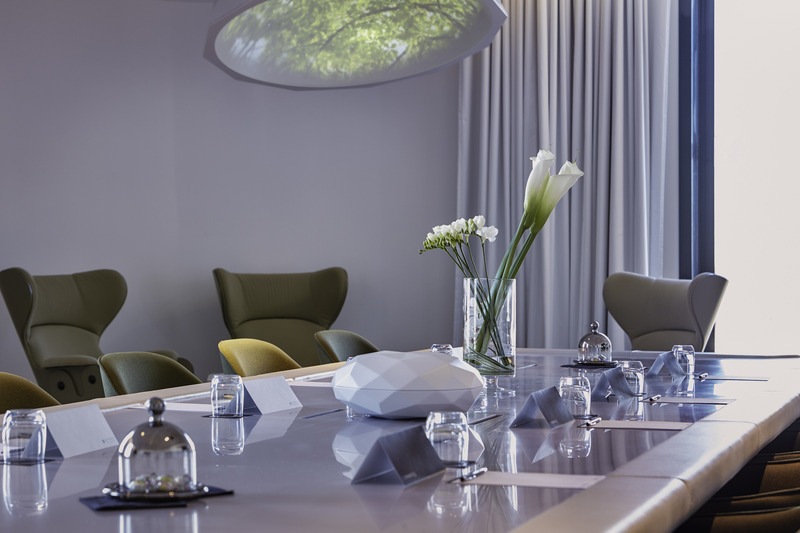 Radisson Bly CDG Airport Havaalanı - Toplantı