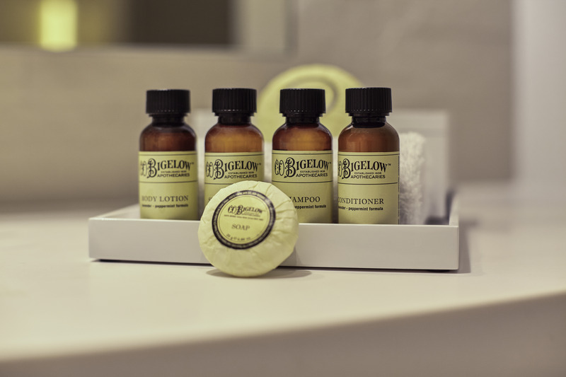 Radisson Bly CDG Airport Havaalanı - Oda