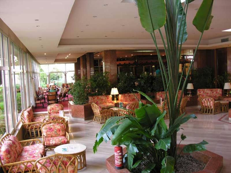 Pyramisa Hotel Luxor - Teras
