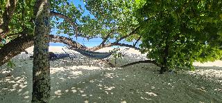 Liberty Guesthouse Maldives fotoÄŸrafÄ±