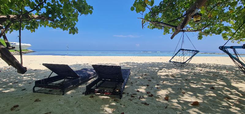 Liberty Guesthouse Maldives - Genel