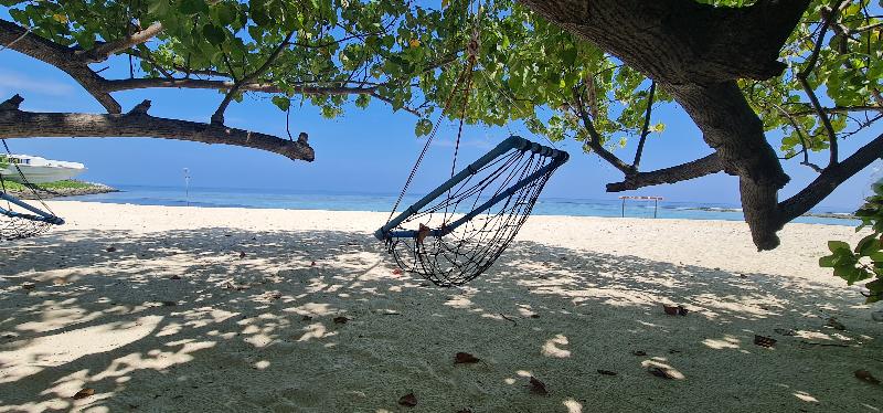 Liberty Guesthouse Maldives - Genel