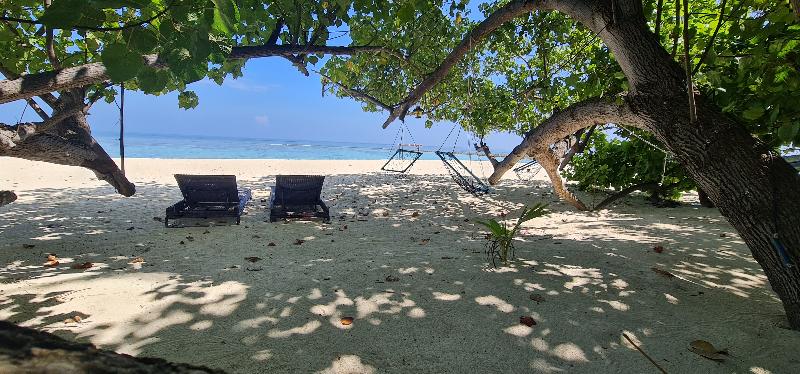 Liberty Guesthouse Maldives - Genel