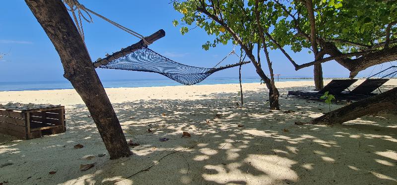 Liberty Guesthouse Maldives - Genel