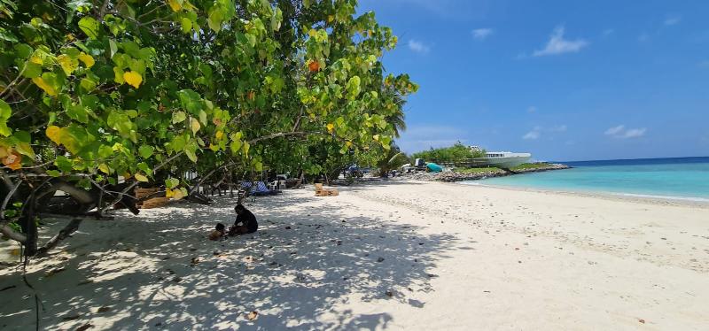 Liberty Guesthouse Maldives - Plaj