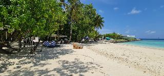 Liberty Guesthouse Maldives fotoÄŸrafÄ±