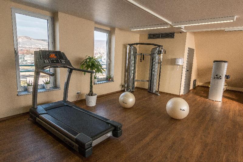 Holiday Inn Budapest - Budaors - Aktivite