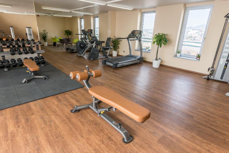 Holiday Inn Budapest - Budaors - Aktivite