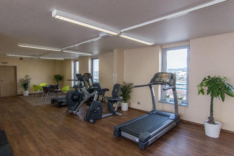 Holiday Inn Budapest - Budaors - Aktivite