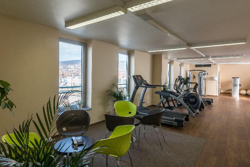 Holiday Inn Budapest - Budaors - Aktivite