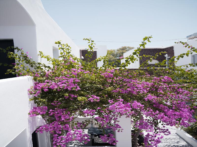 King'S Suites - Genel