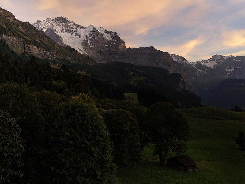 Beausite Park Hotel Wengen - Oda