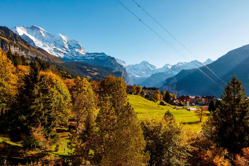 Beausite Park Hotel Wengen - Oda