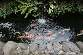 Horison Ultima Riss Yogyakarta fotoÄŸrafÄ±