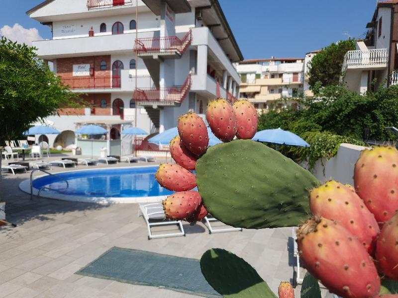 Hotel Alexander - Havuz