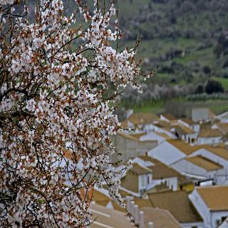 Hotel Rural Las Monteras fotoÄŸrafÄ±