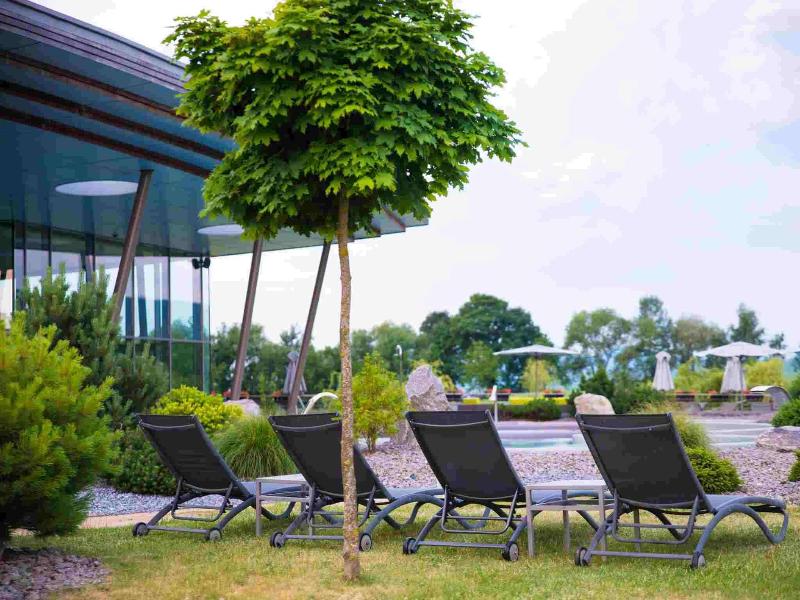 Resort Barrière Ribeauvillé - Genel