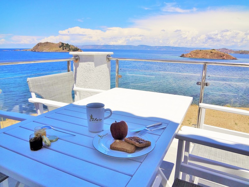 Eleia Seafront Villas - Teras